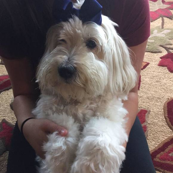 Meet your Posher, Michelle - Picture 1 of 1